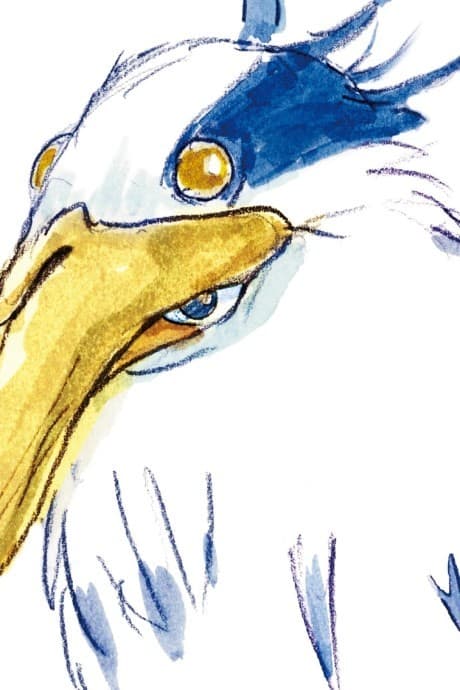 The Boy and the Heron cover