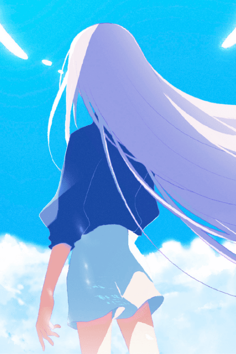 Sphere cover