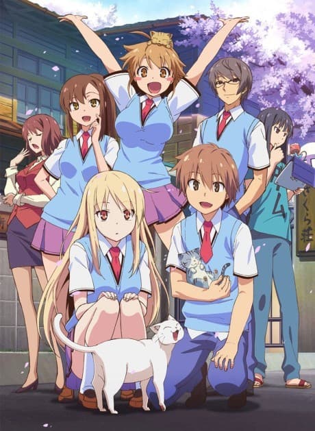 The Pet Girl of Sakurasou cover
